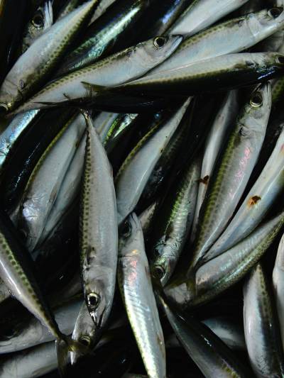 Piatti tradizionali di Komiža